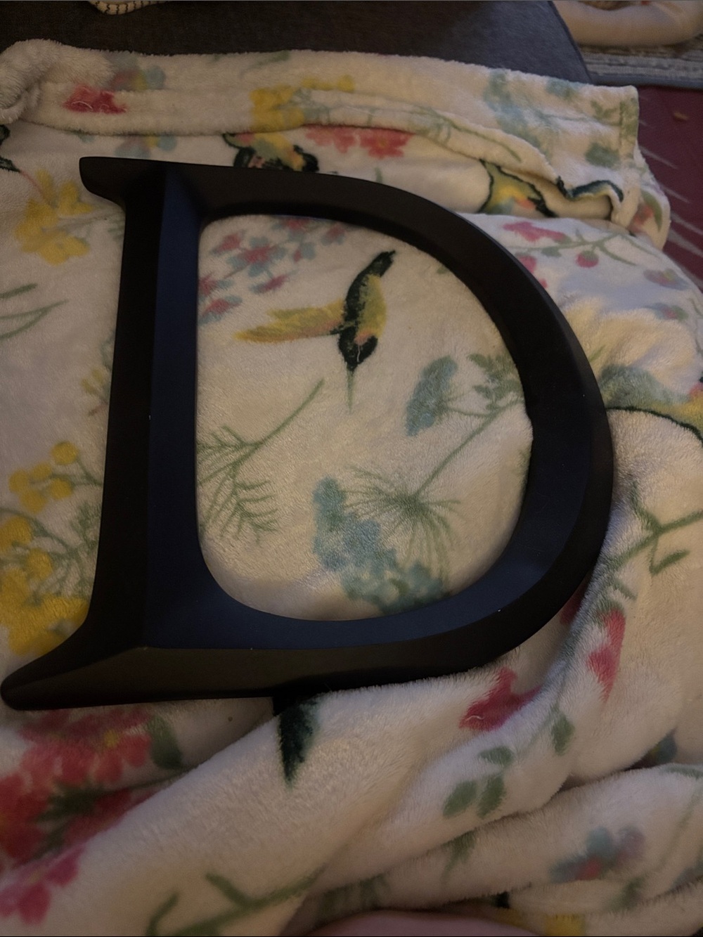 Large Black Decorative Letter D